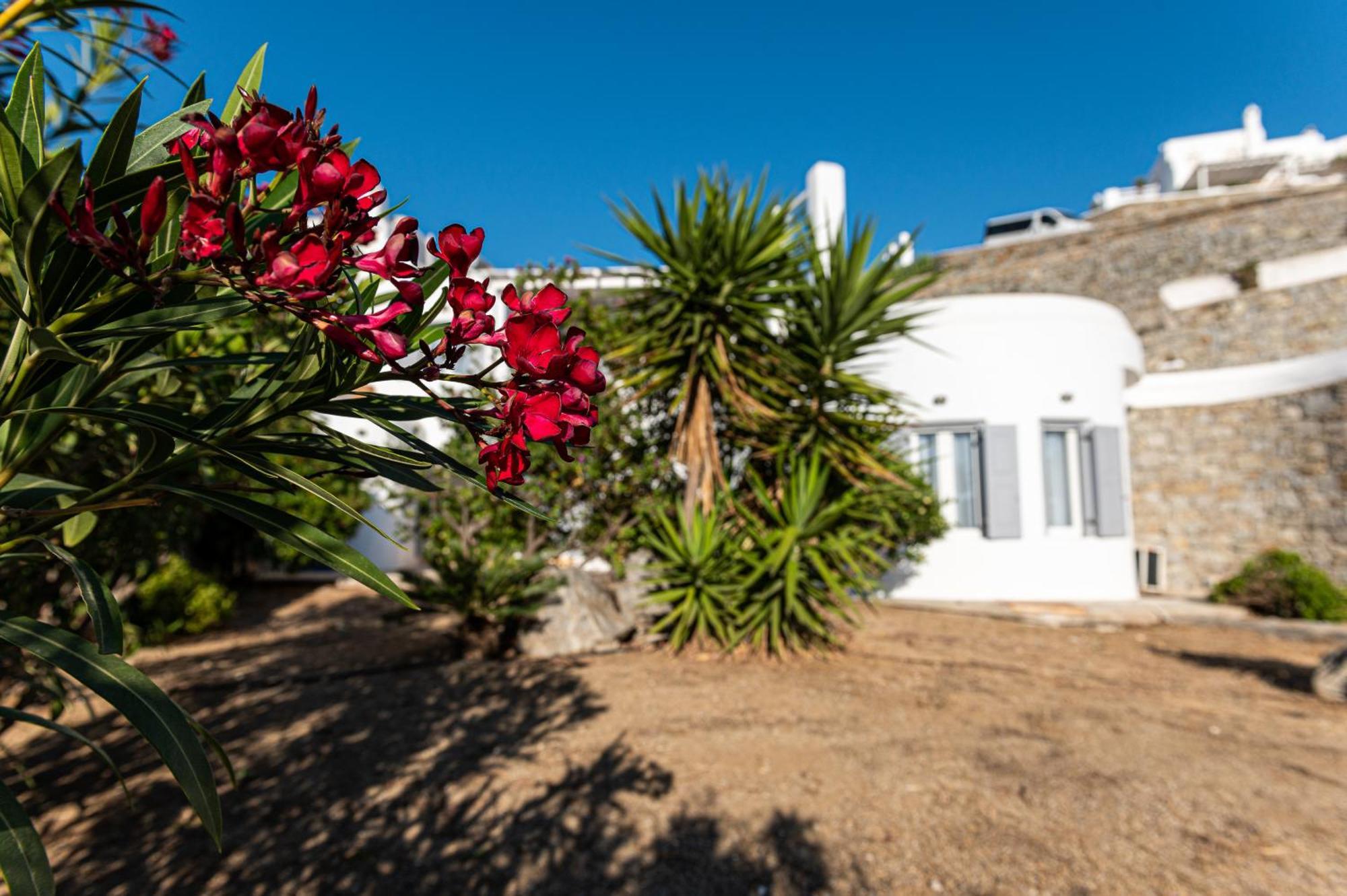 9 Muses Villas Mykonos Ornos  Ruang foto