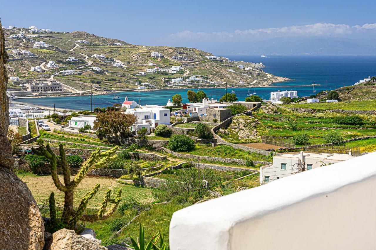9 Muses Villas Mykonos Ornos  Bagian luar foto